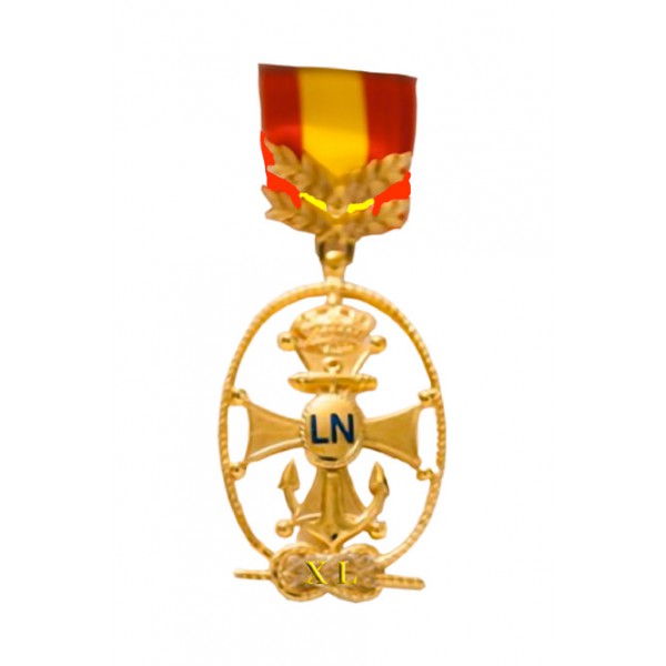 c ruz roja,cruz rojaespañola,tropas de socorro,brigafas de socorro